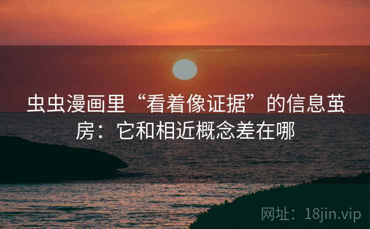 虫虫漫画里“看着像证据”的信息茧房：它和相近概念差在哪