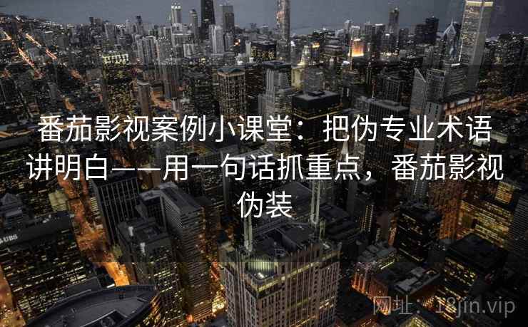 番茄影视案例小课堂：把伪专业术语讲明白——用一句话抓重点，番茄影视伪装