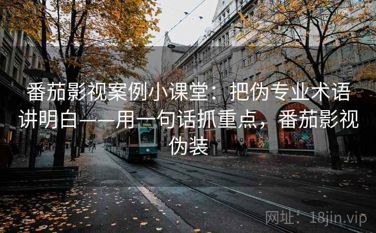 番茄影视案例小课堂：把伪专业术语讲明白——用一句话抓重点，番茄影视伪装