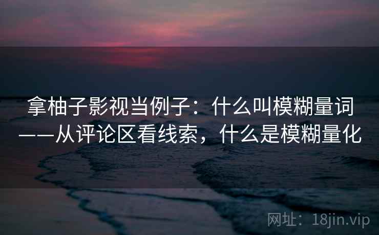 拿柚子影视当例子：什么叫模糊量词——从评论区看线索，什么是模糊量化