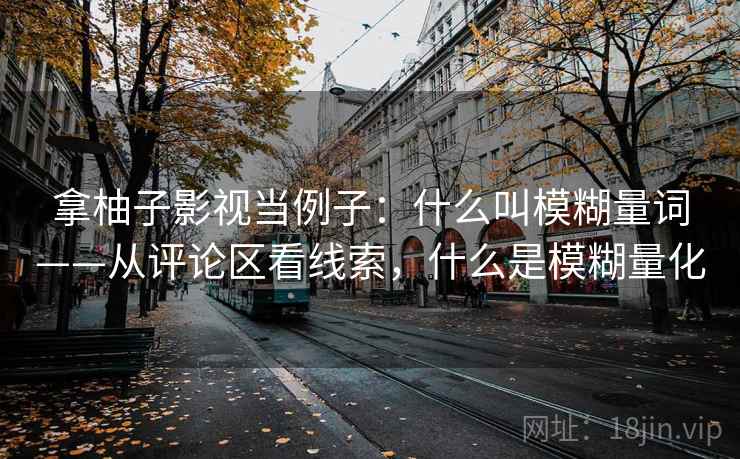 拿柚子影视当例子：什么叫模糊量词——从评论区看线索，什么是模糊量化